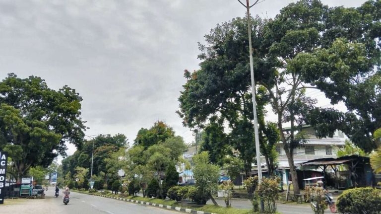 Dinas LHD Sarolangun Rapikan Pohon di Jalan Kota Sarolangun